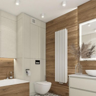 Радиаторы дизайнерские Luxrad Oval Double 1700*410 White (нижнее подключение)
