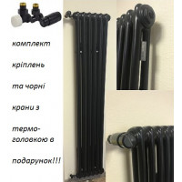 Радіатор Arbonia 2 1800х270 Black mat бокове (7-10 м²)